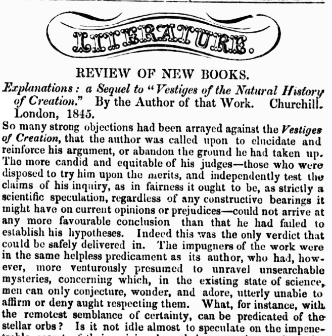 Original Newspaper Clipping